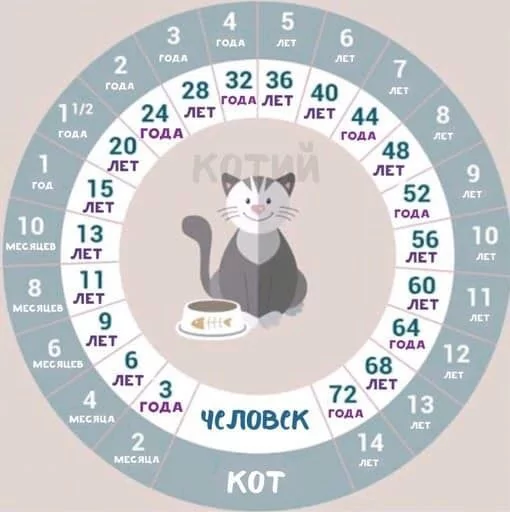 0febd2eb-283f-494c-8f38-a18cea7f12c7