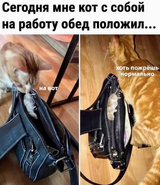 B48A722C-74CB-416C-B332-F42B01264616