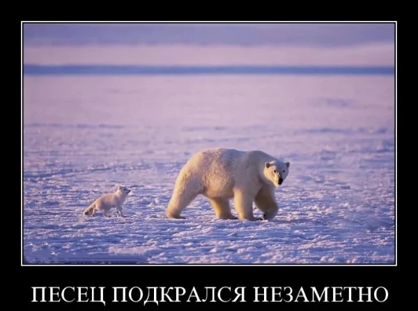 Север