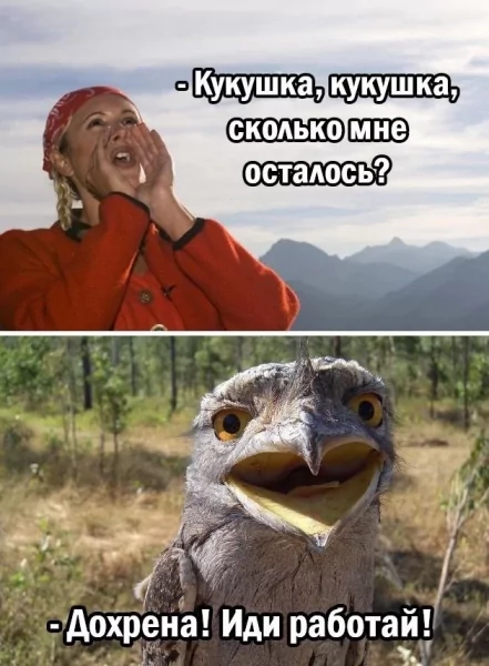 Кукушка