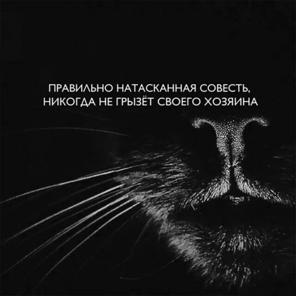 Про Совесть