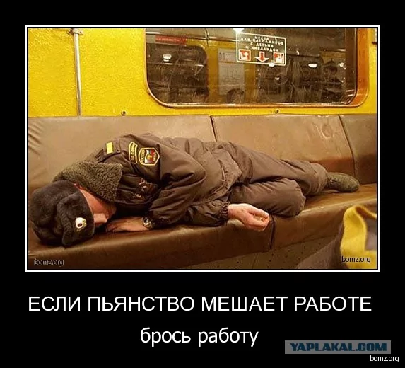 picture_373497001