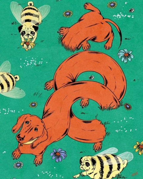 17