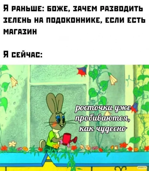Cb8e104905 00000000000