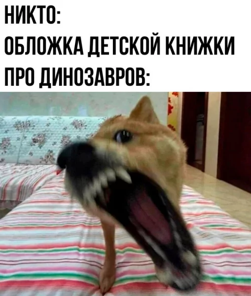 Novye-memy-i-samye-luchshie-kartinki-s-nadpisjami-7