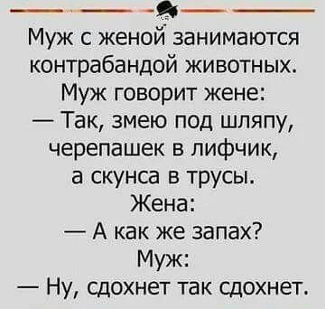 aa67a2afd2c4cbe