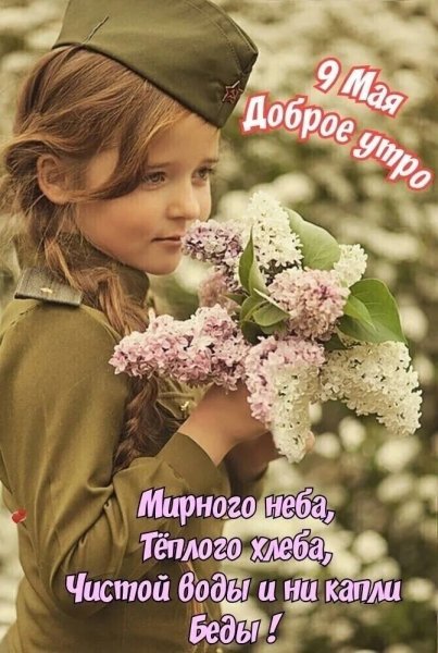 picture_387543530