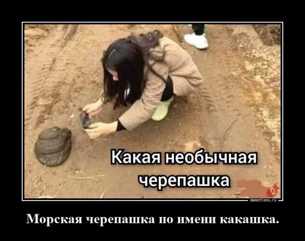 picture_387239901