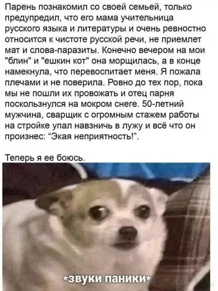 p.600.600.0