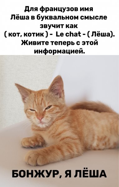 Я Лёша