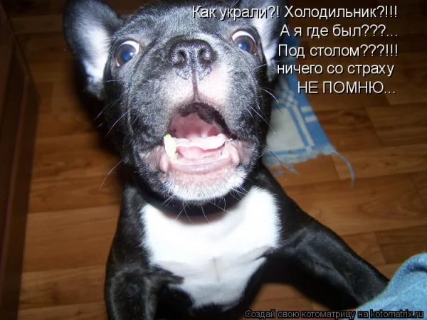 Опаньки!