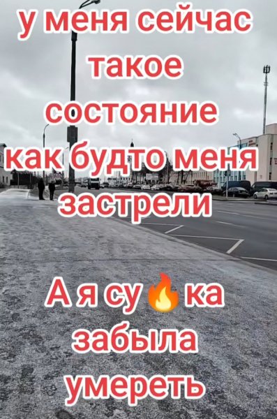 picture_387478343