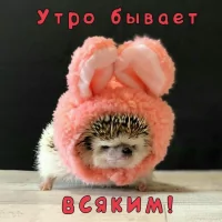 *