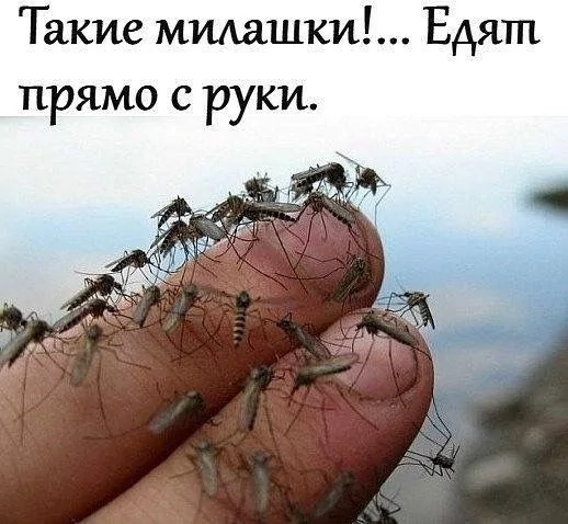 72aabe6447dd99e07fb3d28ed7b4950d