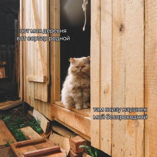 КотЭ)